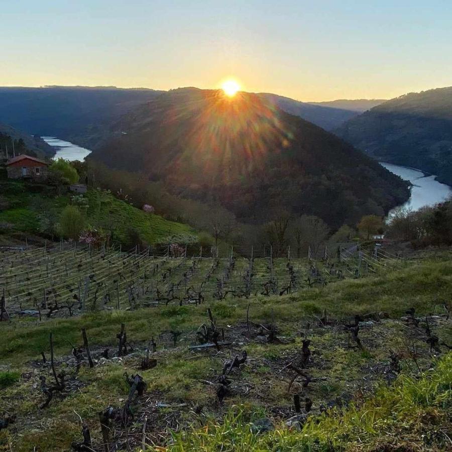 Casa Das Xacias Ribeira Sacra A Airoa  Exteriör bild